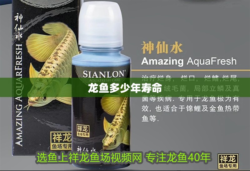 龍魚多少年壽命