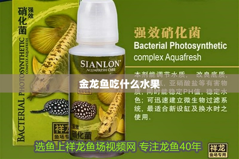 金龍魚吃什么水果
