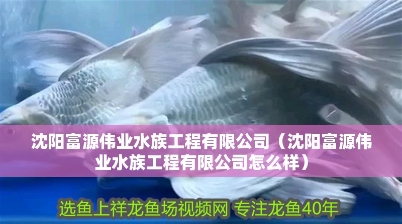 沈陽(yáng)富源偉業(yè)水族工程有限公司（沈陽(yáng)富源偉業(yè)水族工程有限公司怎么樣）