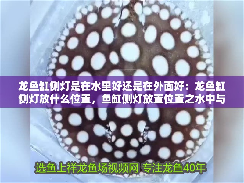 龍魚缸側(cè)燈是在水里好還是在外面好：龍魚缸側(cè)燈放什么位置，魚缸側(cè)燈放置位置之水中與水