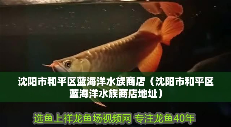 沈陽市和平區藍海洋水族商店（沈陽市和平區藍海洋水族商店地址）