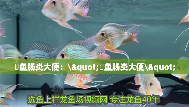 魟魚腸炎大便：\"魟魚腸炎大便\"