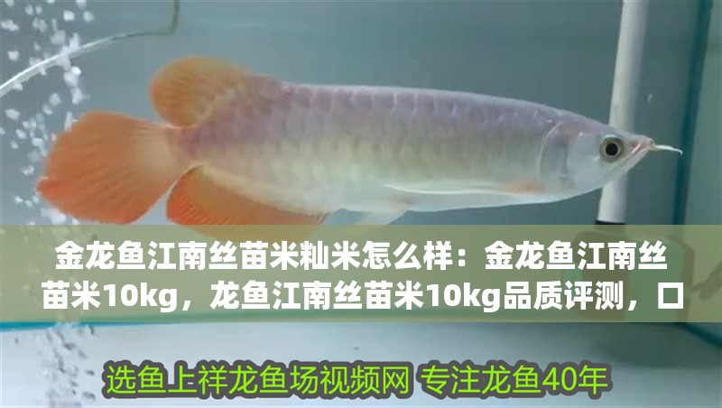 金龍魚江南絲苗米秈米怎么樣：金龍魚江南絲苗米10kg，龍魚江南絲苗米10kg品質評測，口感與