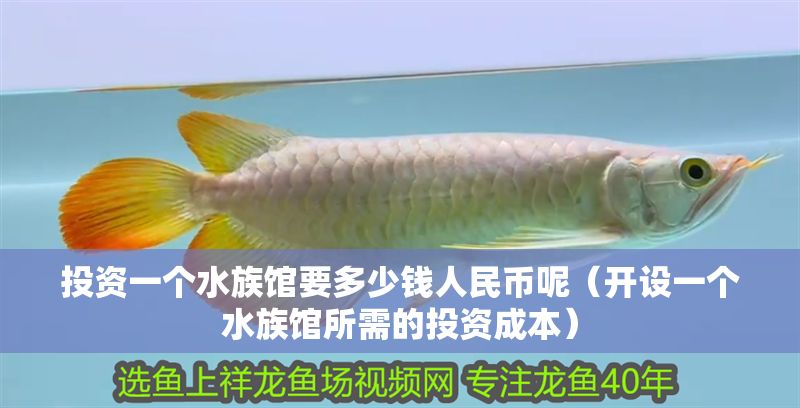 投資一個水族館要多少錢人民幣呢（開設(shè)一個水族館所需的投資成本）
