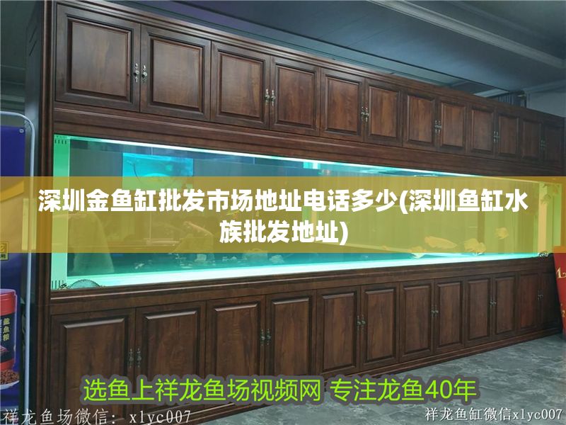 深圳金魚缸批發市場地址電話多少(深圳魚缸水族批發地址)