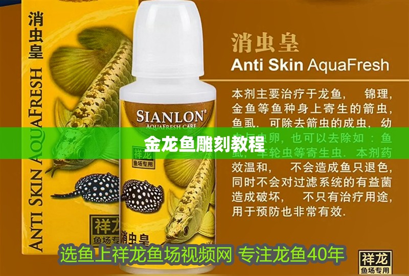 金龍魚雕刻教程