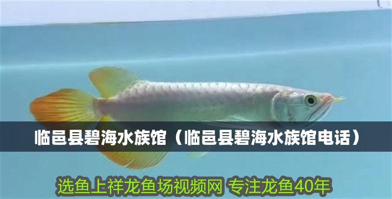 臨邑縣碧海水族館（臨邑縣碧海水族館電話）