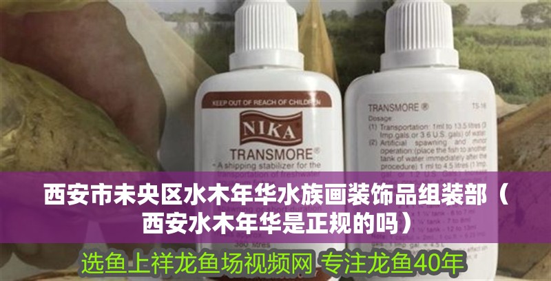 西安市未央?yún)^(qū)水木年華水族畫裝飾品組裝部（西安水木年華是正規(guī)的嗎）
