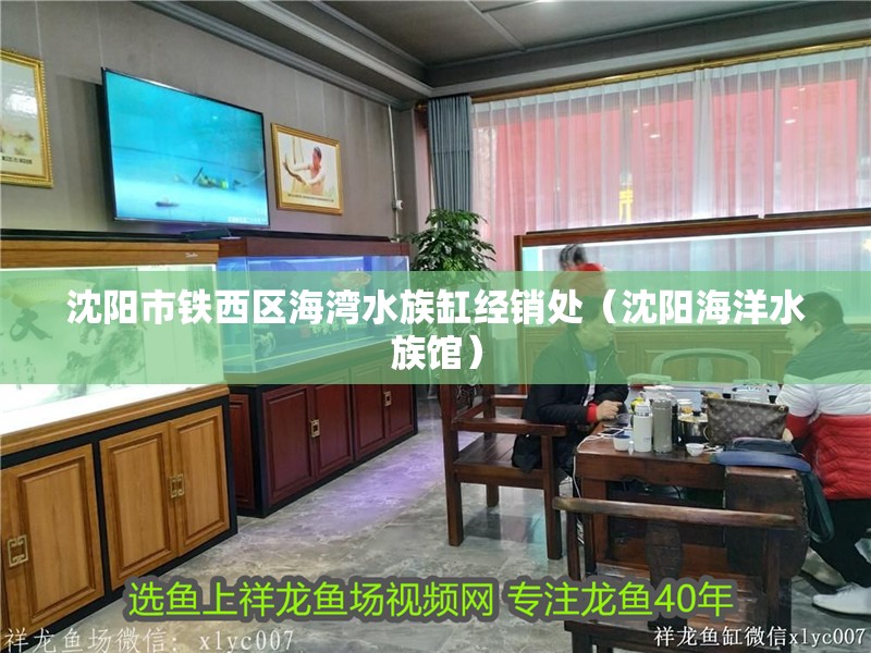 沈陽市鐵西區(qū)海灣水族缸經(jīng)銷處（沈陽海洋水族館）