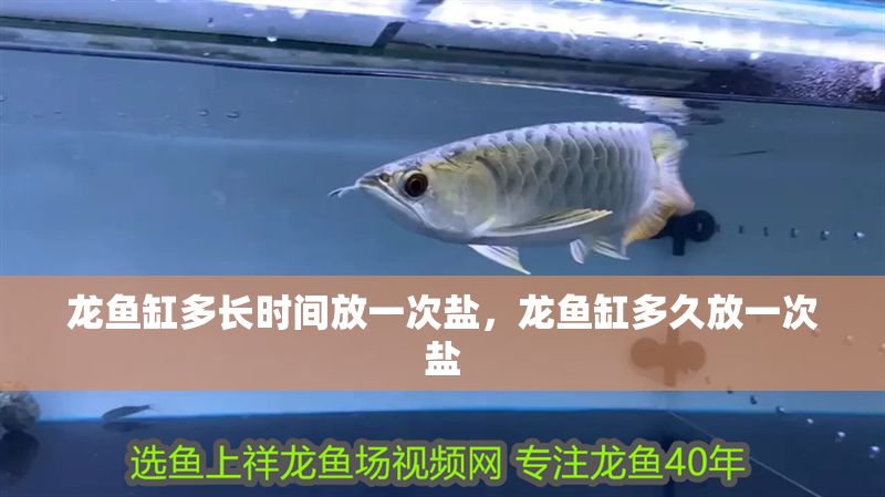 龍魚缸多長時間放一次鹽，龍魚缸多久放一次鹽