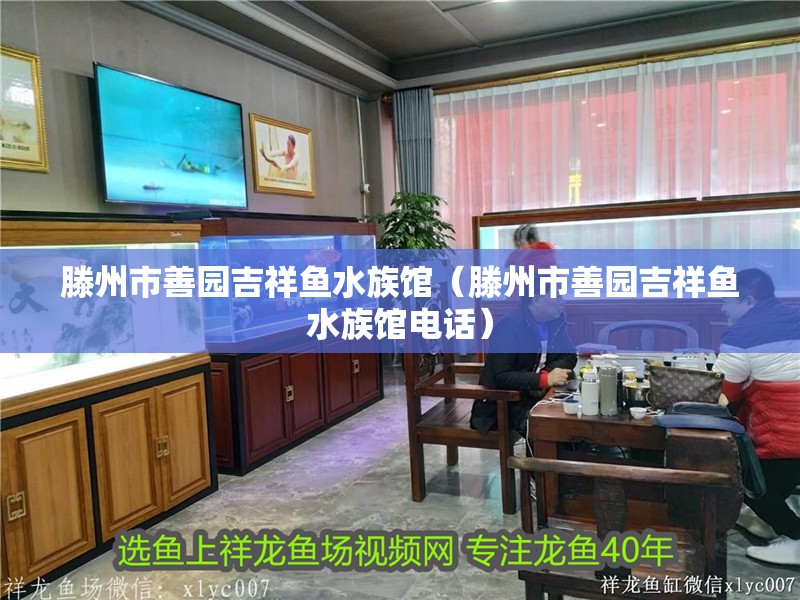 滕州市善園吉祥魚水族館（滕州市善園吉祥魚水族館電話）