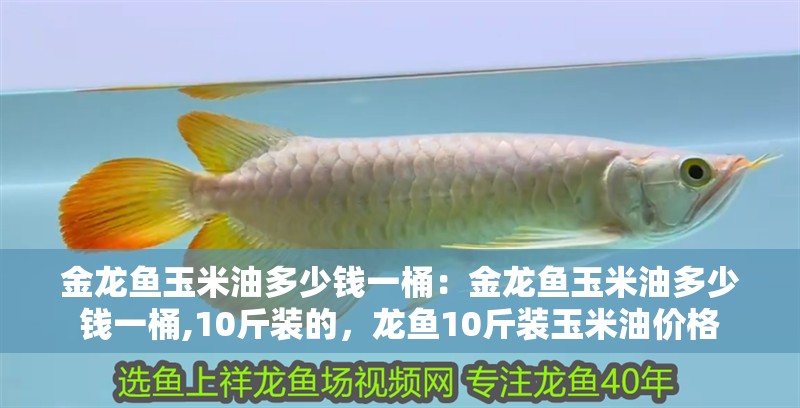 金龍魚玉米油多少錢一桶：金龍魚玉米油多少錢一桶,10斤裝的，龍魚10斤裝玉米油價格