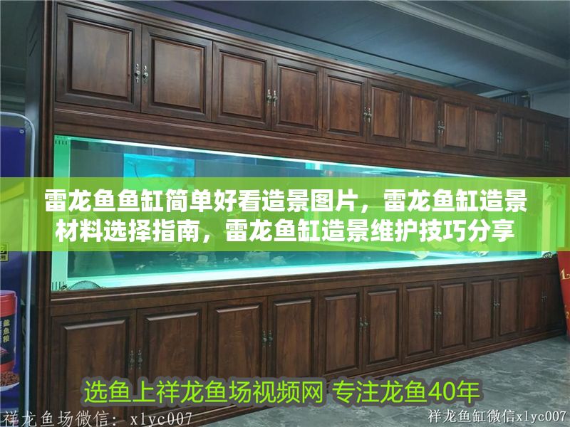 雷龍魚魚缸簡單好看造景圖片，雷龍魚缸造景材料選擇指南，雷龍魚缸造景維護技巧分享