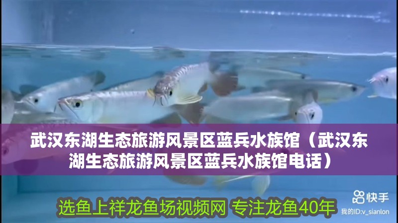 武漢東湖生態(tài)旅游風(fēng)景區(qū)藍(lán)兵水族館（武漢東湖生態(tài)旅游風(fēng)景區(qū)藍(lán)兵水族館電話）