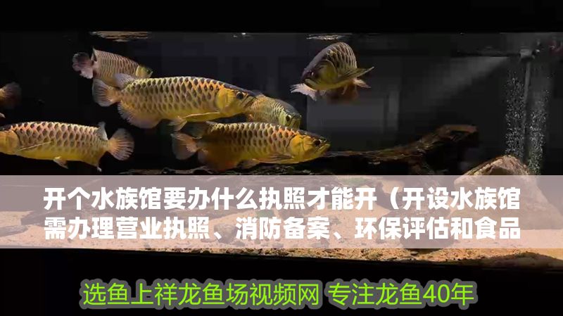 開個水族館要辦什么執照才能開（開設水族館需辦理營業執照、消防備案、環保評估和食品衛生許可證）