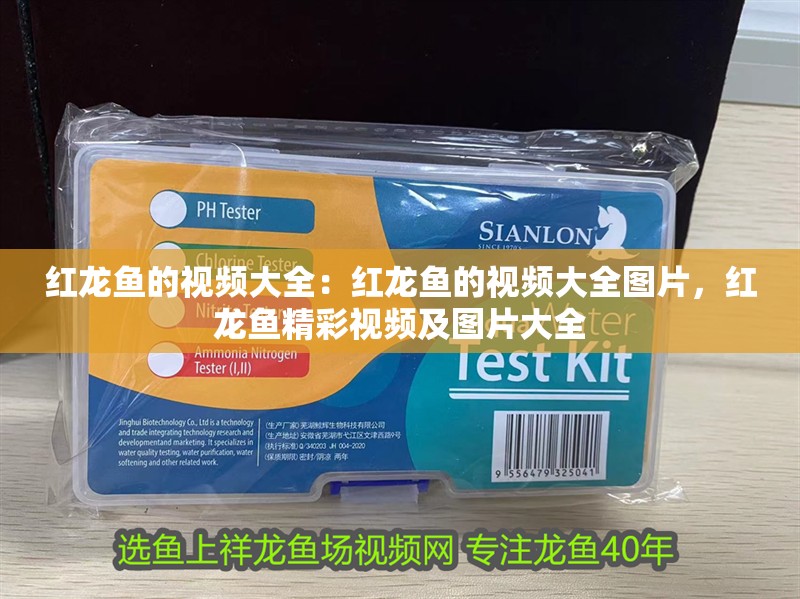 紅龍魚的視頻大全：紅龍魚的視頻大全圖片，紅龍魚精彩視頻及圖片大全