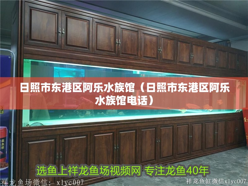 日照市東港區阿樂水族館（日照市東港區阿樂水族館電話）