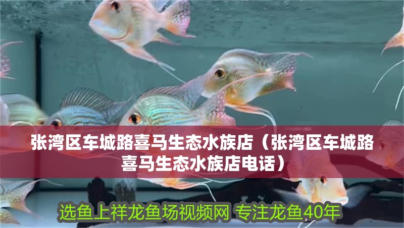 張灣區(qū)車城路喜馬生態(tài)水族店（張灣區(qū)車城路喜馬生態(tài)水族店電話）