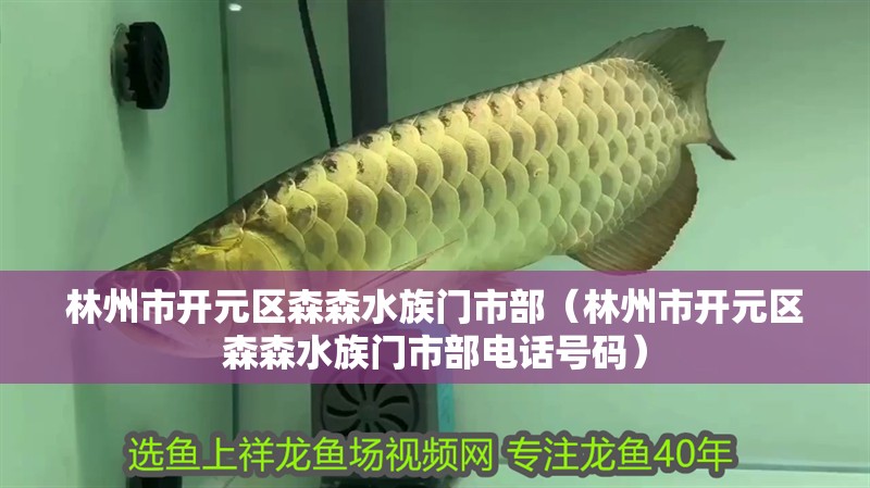 林州市開元區森森水族門市部（林州市開元區森森水族門市部電話號碼）