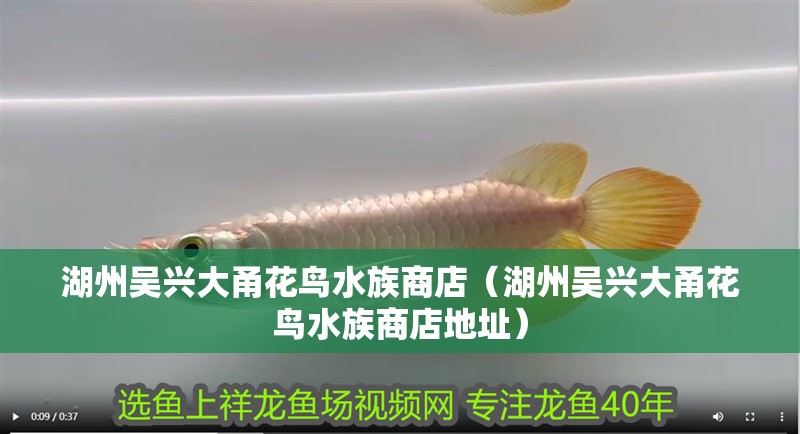 湖州吳興大甬花鳥水族商店（湖州吳興大甬花鳥水族商店地址）