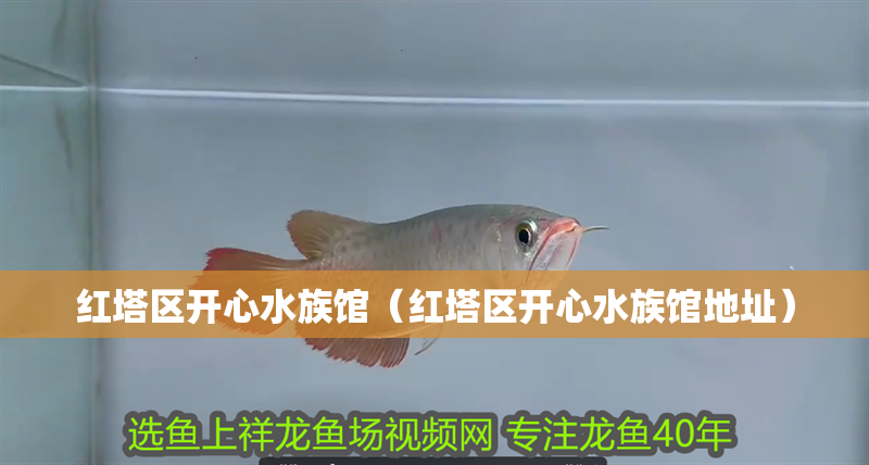紅塔區(qū)開心水族館（紅塔區(qū)開心水族館地址）