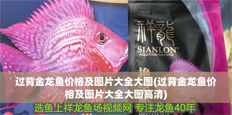 過背金龍魚價格及圖片大全大圖(過背金龍魚價格及圖片大全大圖高清)