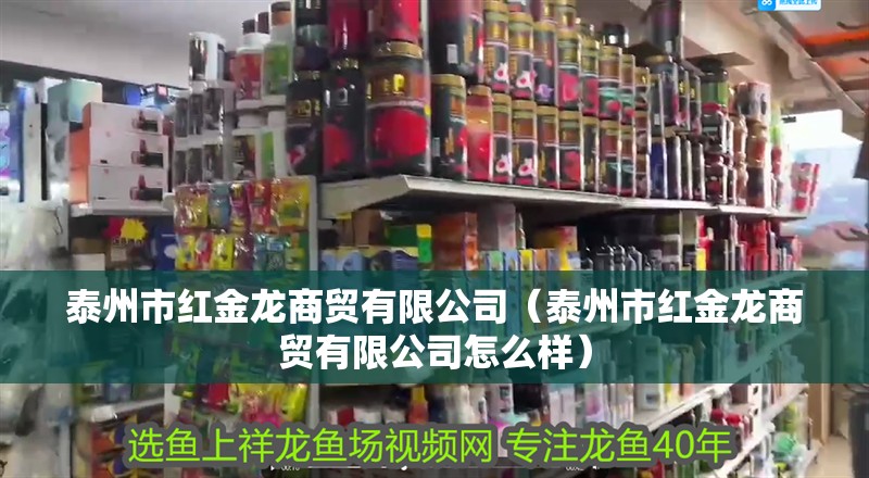 泰州市紅金龍商貿有限公司（泰州市紅金龍商貿有限公司怎么樣）