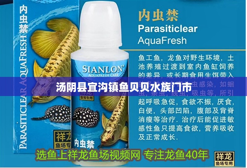 湯陰縣宜溝鎮魚貝貝水族門市