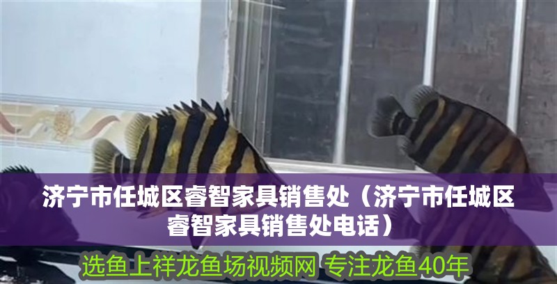 濟(jì)寧市任城區(qū)睿智家具銷售處（濟(jì)寧市任城區(qū)睿智家具銷售處電話）