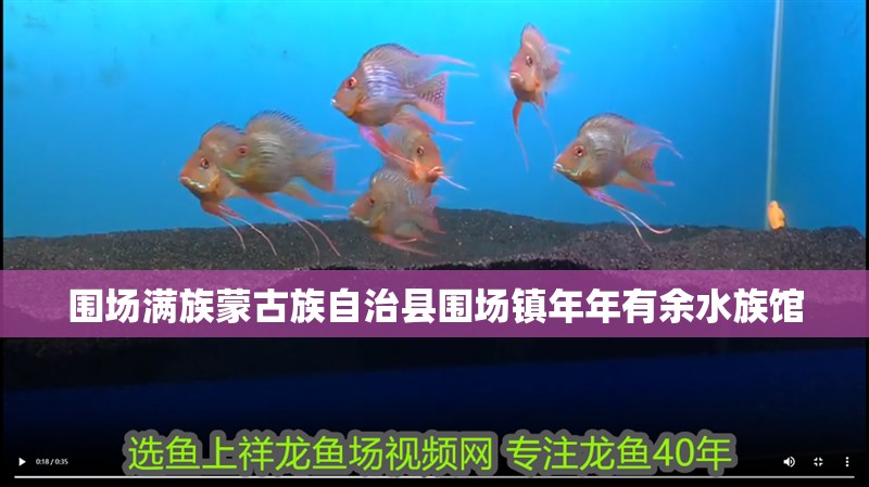 圍場(chǎng)滿族蒙古族自治縣圍場(chǎng)鎮(zhèn)年年有余水族館