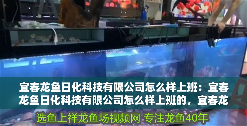 宜春龍魚日化科技有限公司怎么樣上班：宜春龍魚日化科技有限公司怎么樣上班的，宜春龍魚日化科技有限公司上班情況