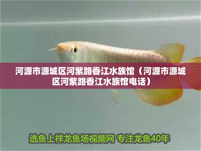 河源市源城區(qū)河紫路香江水族館（河源市源城區(qū)河紫路香江水族館電話）