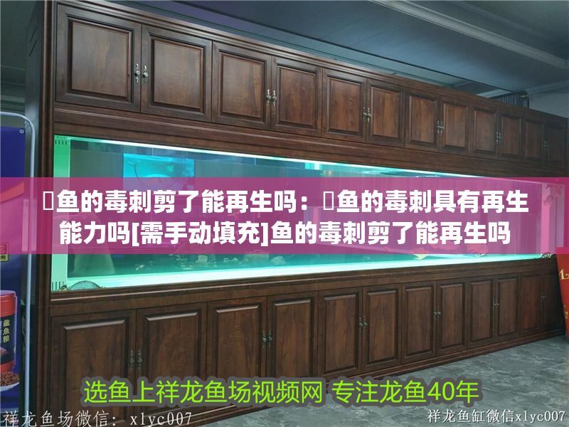 魟魚的毒刺剪了能再生嗎：魟魚的毒刺具有再生能力嗎[需手動填充]魚的毒刺剪了能再生嗎