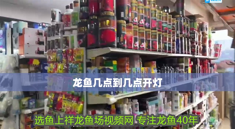 龍魚幾點到幾點開燈
