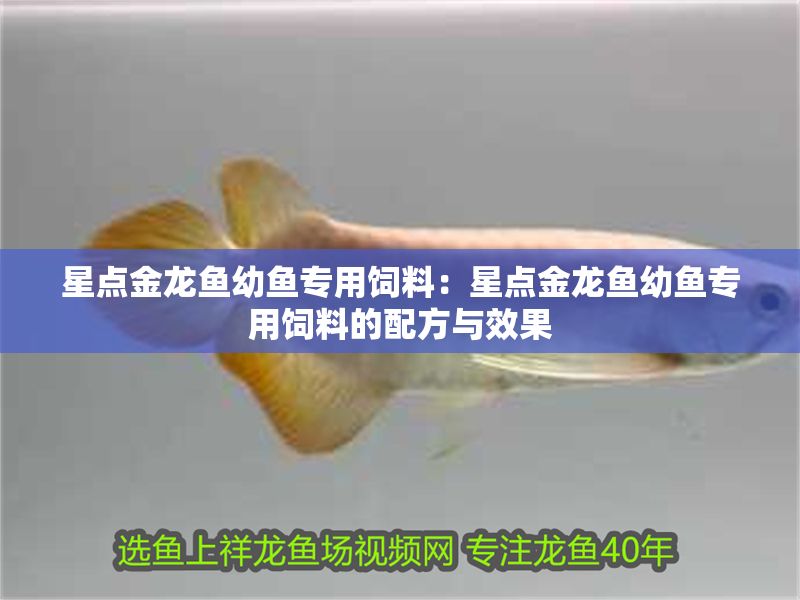 星點金龍魚幼魚專用飼料：星點金龍魚幼魚專用飼料的配方與效果