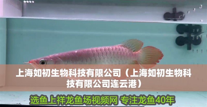 上海如初生物科技有限公司（上海如初生物科技有限公司連云港）