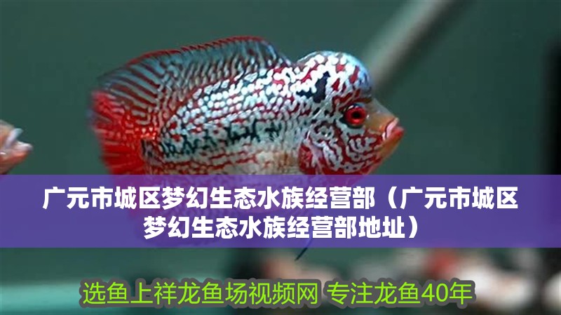 廣元市城區夢幻生態水族經營部（廣元市城區夢幻生態水族經營部地址）