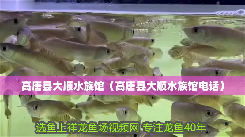 高唐縣大順水族館（高唐縣大順水族館電話）