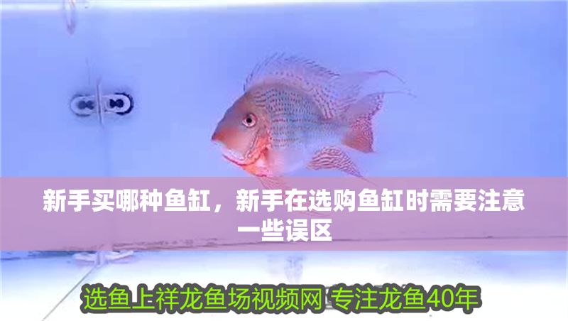 新手買哪種魚缸，新手在選購魚缸時需要注意一些誤區
