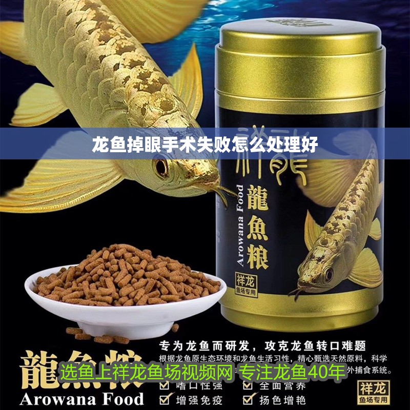 龍魚掉眼手術失敗怎么處理好
