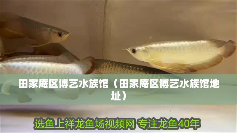 田家庵區(qū)博藝水族館（田家庵區(qū)博藝水族館地址）