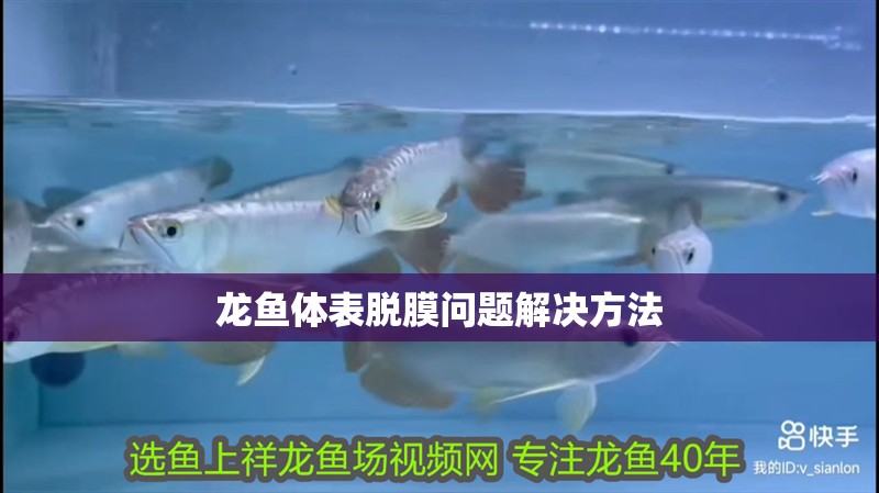 龍魚體表脫膜問題解決方法