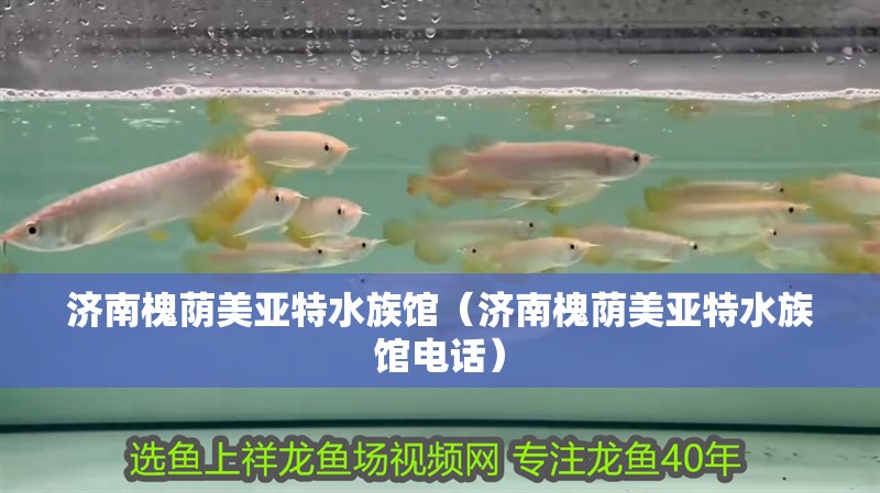 濟南槐蔭美亞特水族館（濟南槐蔭美亞特水族館電話）