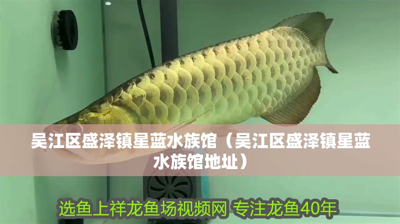吳江區盛澤鎮星藍水族館（吳江區盛澤鎮星藍水族館地址）