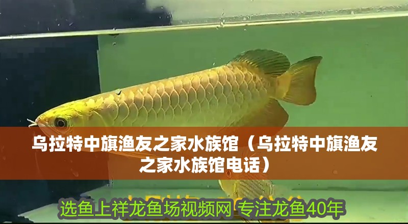 烏拉特中旗漁友之家水族館（烏拉特中旗漁友之家水族館電話） 烏拉特中旗漁友之家水族館（烏拉特中旗漁友之家水族館電話） 全國(guó)水族館企業(yè)名錄 第2張