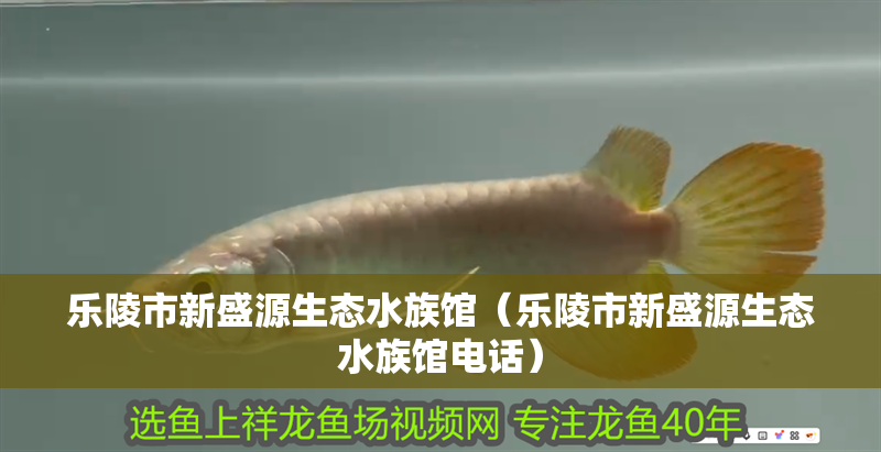樂陵市新盛源生態水族館（樂陵市新盛源生態水族館電話）