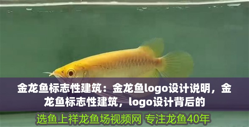 金龍魚標志性建筑：金龍魚logo設計說明，金龍魚標志性建筑，logo設計背后的