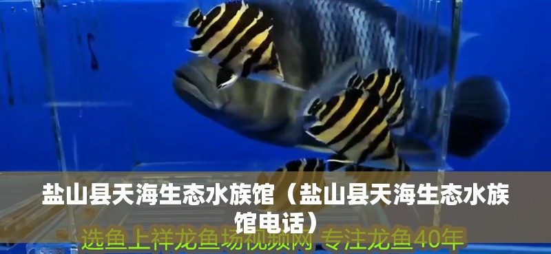 鹽山縣天海生態(tài)水族館（鹽山縣天海生態(tài)水族館電話）