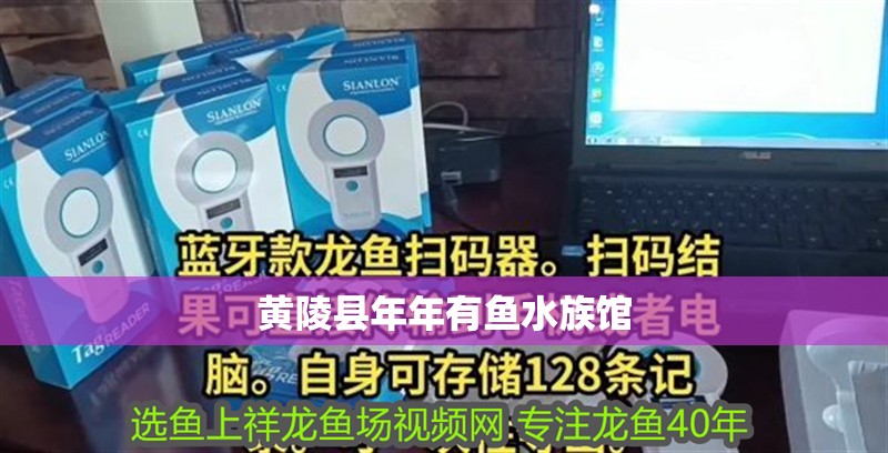 黃陵縣年年有魚水族館