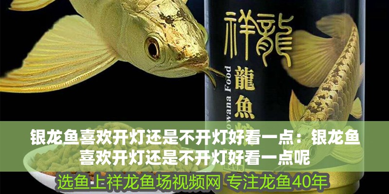 銀龍魚喜歡開燈還是不開燈好看一點：銀龍魚喜歡開燈還是不開燈好看一點呢